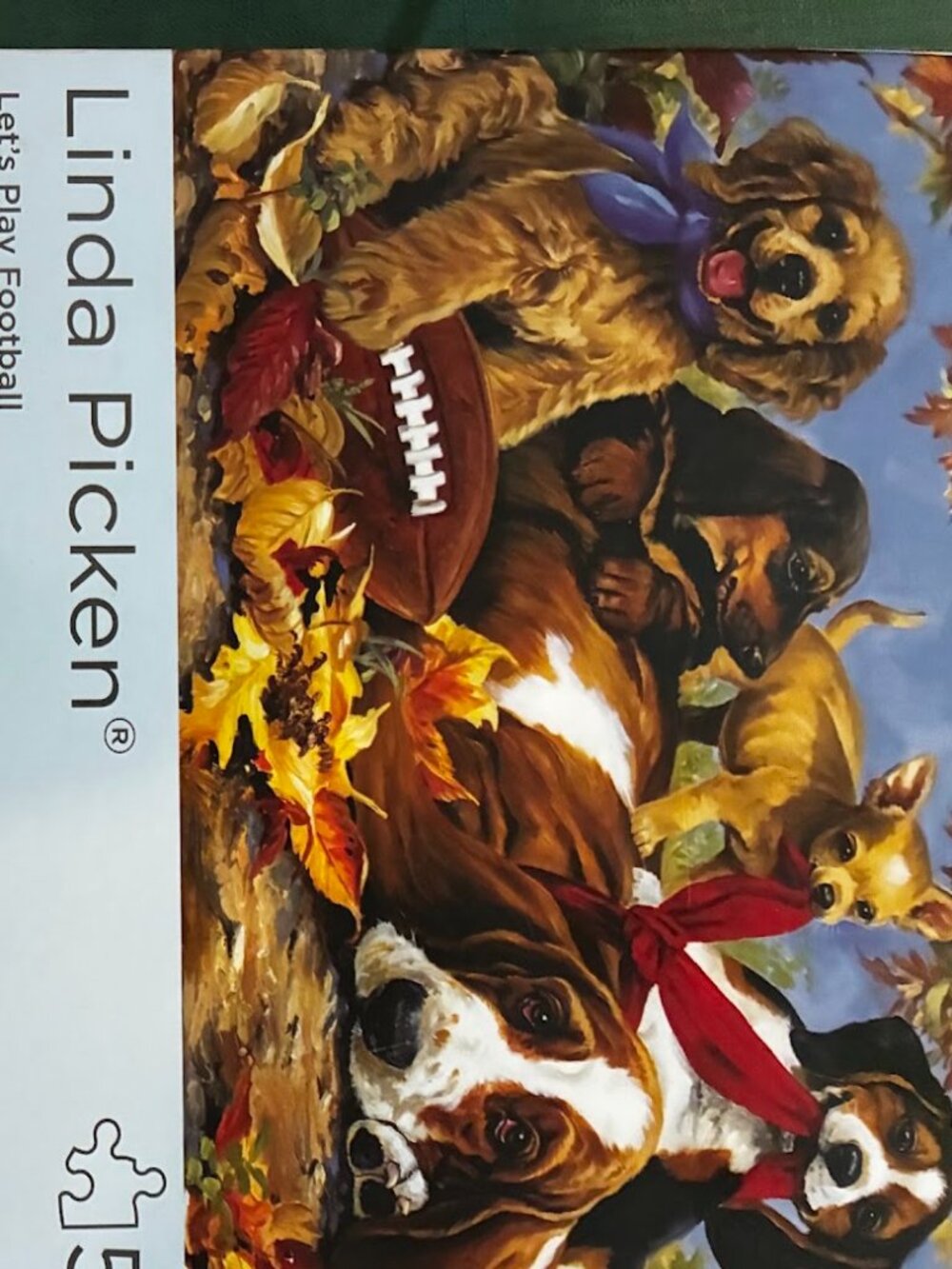 Dog Football Puzzle (500 pieces)
